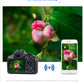 Canon EOS 1500D wirelessly transferring high-resolution fruit photo to iPhone via built-in Wi-Fi for instant social sharing.