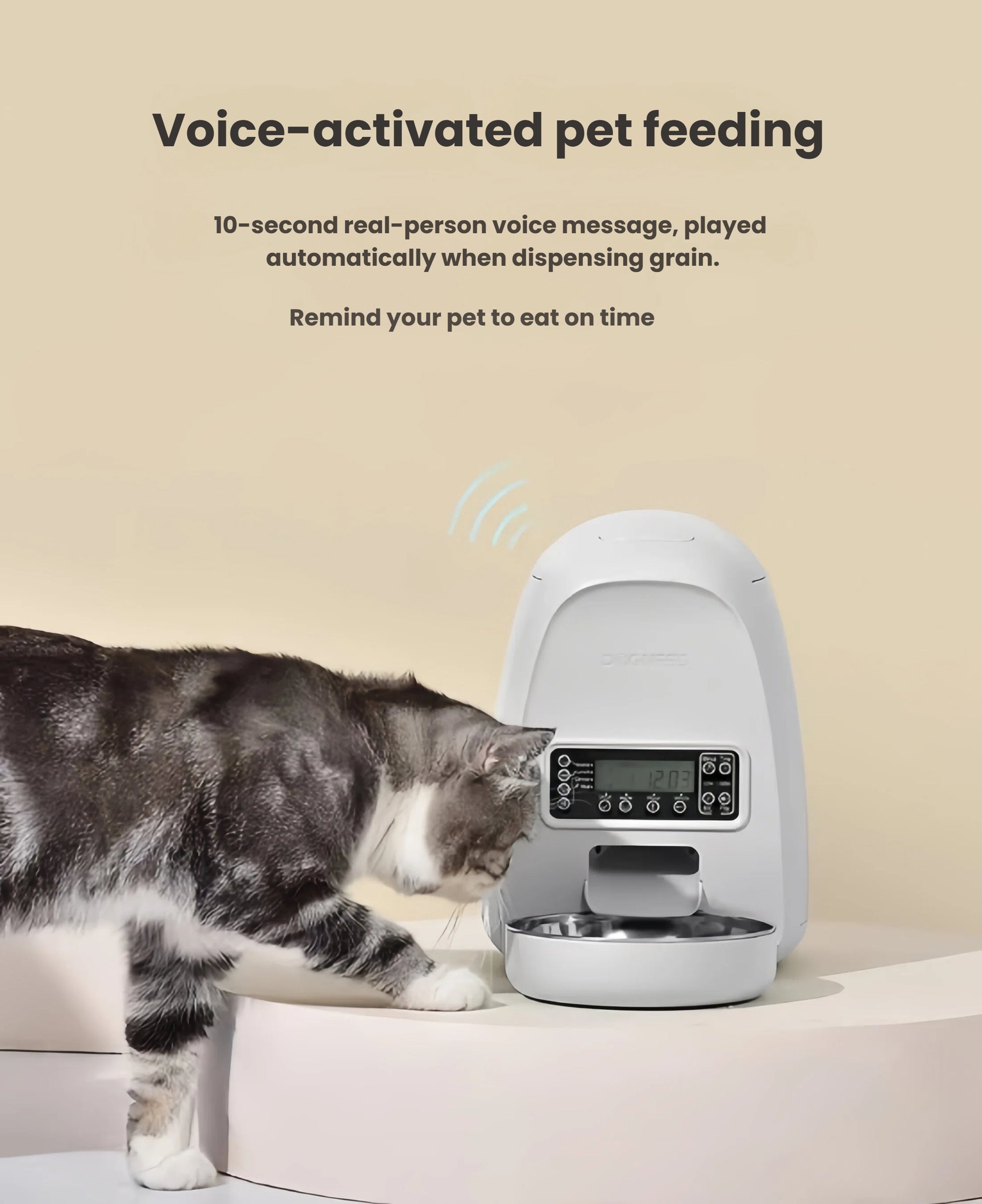 DOGNESS Mini feeder plays custom 10-second voice message to call pets at mealtime, shown with curious tabby cat.