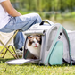 Cute cat sitting inside Dogness expandable pet carrier at a grassy park – enjoying fresh air with built-in tent extended, perfect for outdoor adventures