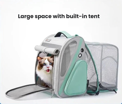 Fluffy cat inside Dogness expandable pet carrier with built-in tent extended – spacious, airy, and perfect for outdoor camping or park visits