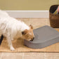 White dog eating from closed Eatwell Pet Feeder 5 Meal in a home kitchen — sleek design keeps food fresh and clean with sealed compartment and spill-proof bowl