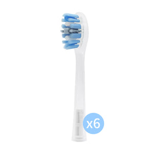 Six-pack Laifen Pro S Plaque Removal replacement toothbrush head