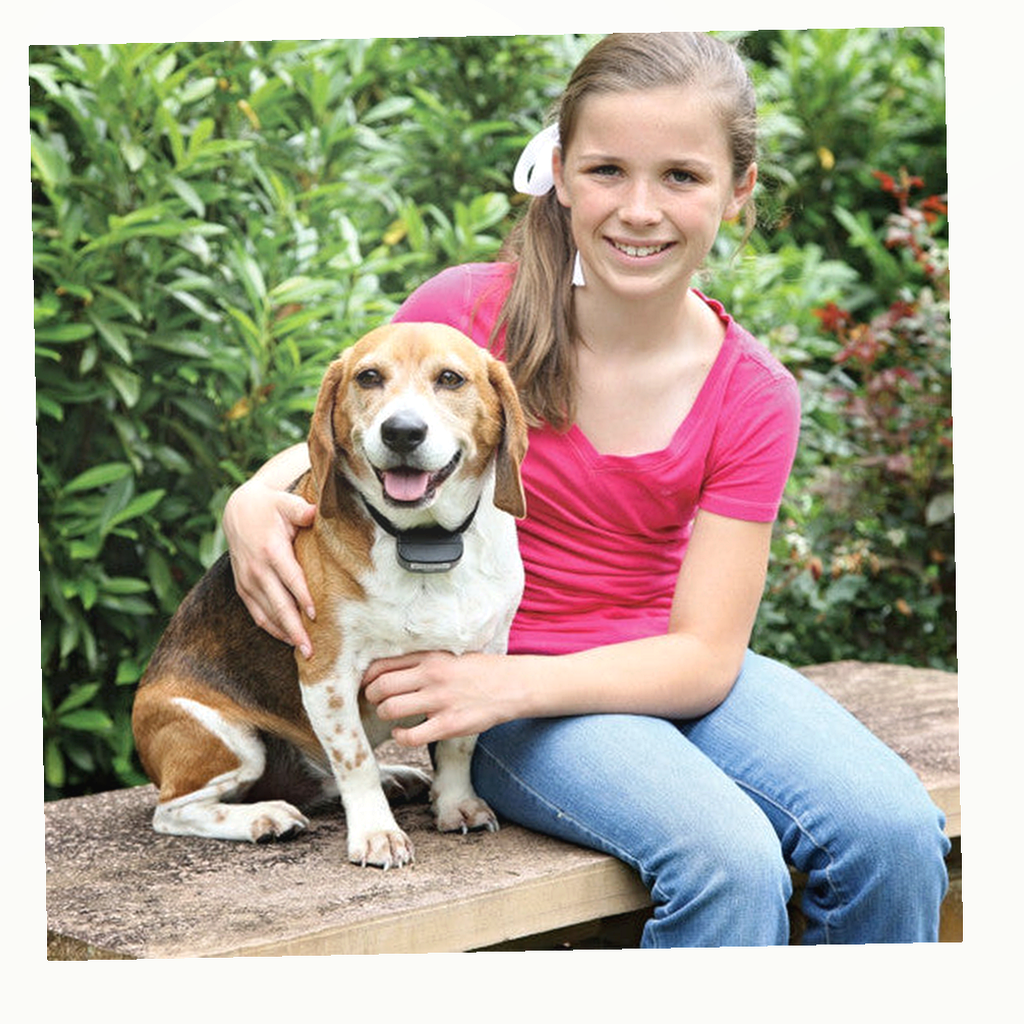 PetSafe Rechargeable In-Ground Fence Add-A-Dog Receiver Collar package image