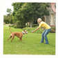 PetSafe Stay & Play Wireless Fence System detail image